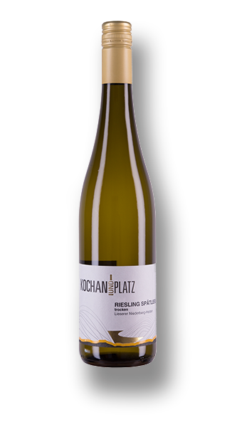  2020 Riesling Spätlese trocken - Lieserer Niederberg-Helden