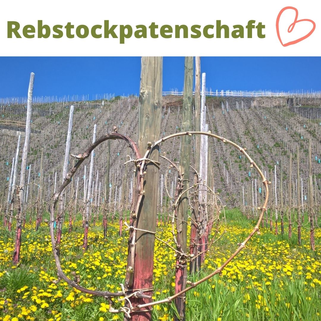 Rebstockpatenschaft